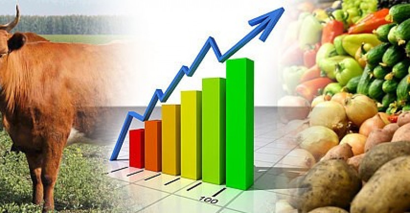 Объем продукции сельского хозяйства в 2019 году